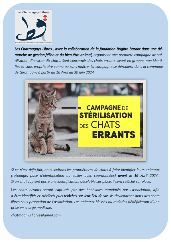 Campagne de stérilisation des chats errants 