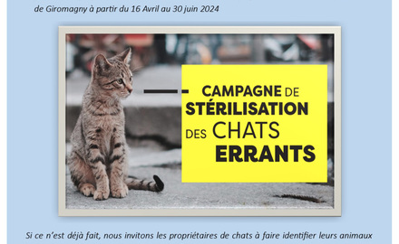 Campagne de stérilisation des chats errants 