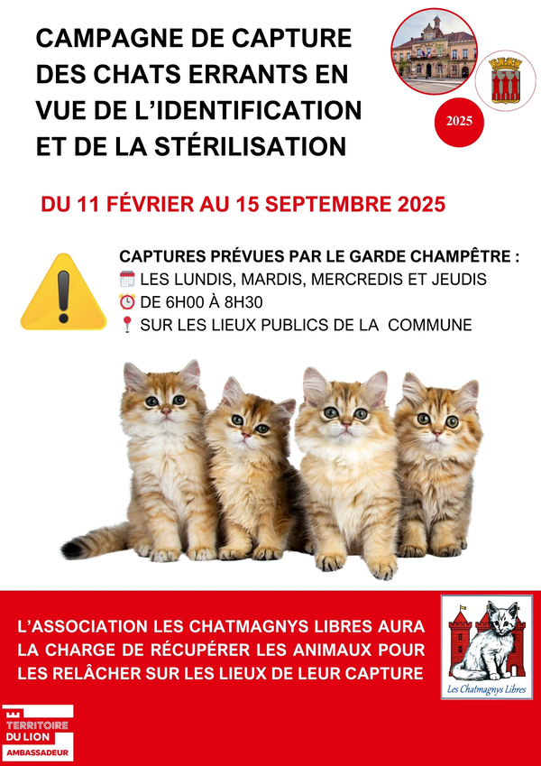 Campagne de capture des chats errants