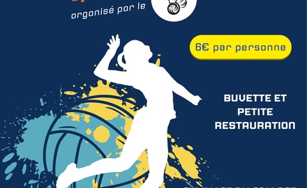 Tournoi de Soft Volley - Samedi 29 mars