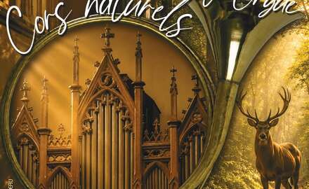 Un concert orgue et cors nature