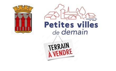 Terrain à bâtir à la vente 1