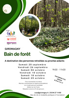 Bains de forêt à Giromagny