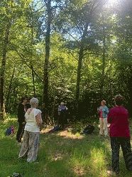 Bain Forêt Bain Forêt