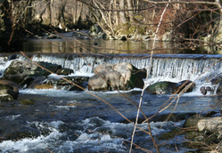 EAU & ASSAINISSEMENT