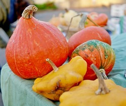 MARCHÉ HEBDOMADAIRE