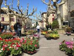 MARCHE AUX FLEURS