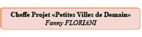FH2c_Petites villes de demain