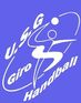 Logo handball avec lien sur leur site