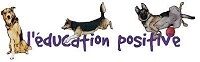 Lien sur la page Club canin des Vosges Comtoises