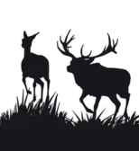 Lien sur la page Club canin des Vosges Comtoises Lien sur la page Club canin des Vosges Comtoises