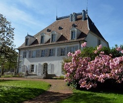 Revitalisation-Mazarin