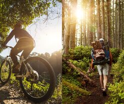 RANDONNÉES / VTT